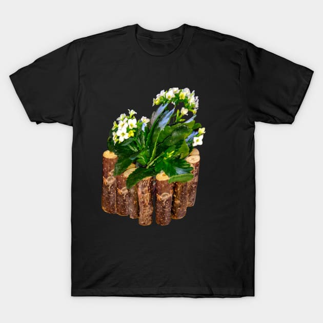 Flowering succulent aesthetic floral arrangement bouquet T-Shirt by Artonmytee